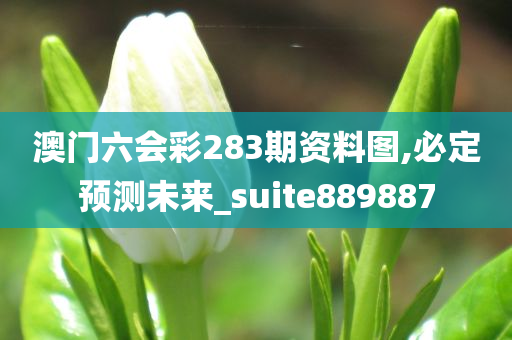 澳门六会彩283期资料图,必定预测未来_suite889887