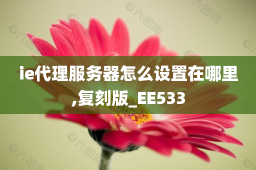 ie代理服务器怎么设置在哪里,复刻版_EE533