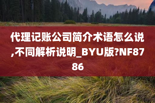 代理记账公司简介术语怎么说,不同解析说明_BYU版?NF8786