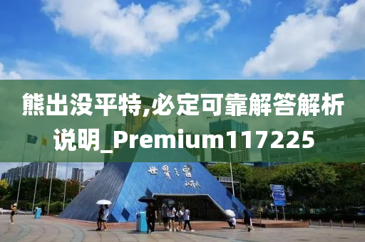 熊出没平特,必定可靠解答解析说明_Premium117225