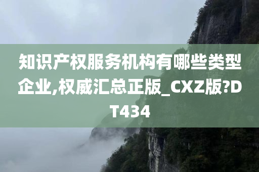 知识产权服务机构有哪些类型企业,权威汇总正版_CXZ版?DT434