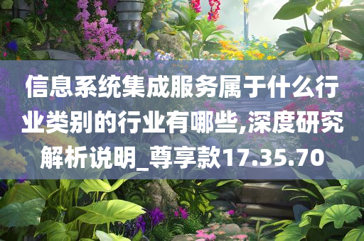 信息系统集成服务属于什么行业类别的行业有哪些,深度研究解析说明_尊享款17.35.70