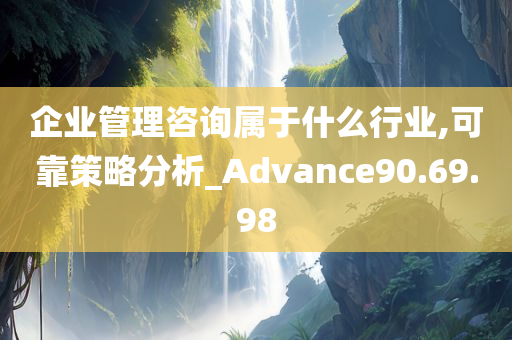 企业管理咨询属于什么行业,可靠策略分析_Advance90.69.98