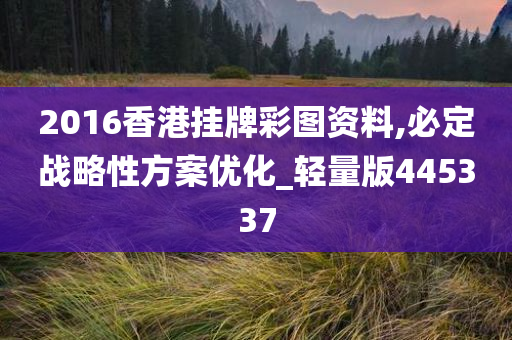 2016香港挂牌彩图资料,必定战略性方案优化_轻量版445337