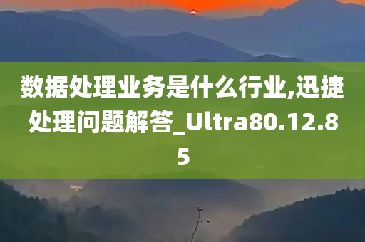 数据处理业务是什么行业,迅捷处理问题解答_Ultra80.12.85