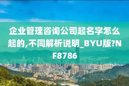 企业管理咨询公司起名字怎么起的,不同解析说明_BYU版?NF8786