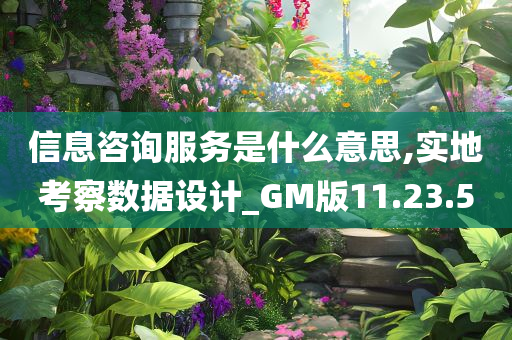 信息咨询服务是什么意思,实地考察数据设计_GM版11.23.50