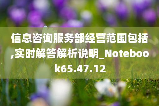 信息咨询服务部经营范围包括,实时解答解析说明_Notebook65.47.12