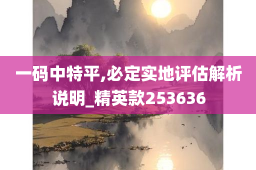 一码中特平,必定实地评估解析说明_精英款253636