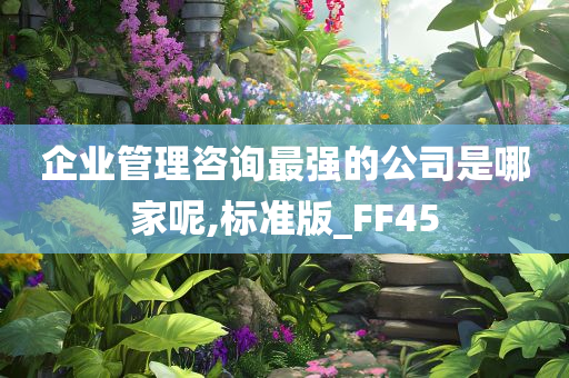 企业管理咨询最强的公司是哪家呢,标准版_FF45