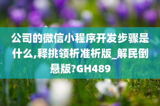 公司的微信小程序开发步骤是什么,释挑领析准析版_解民倒悬版?GH489