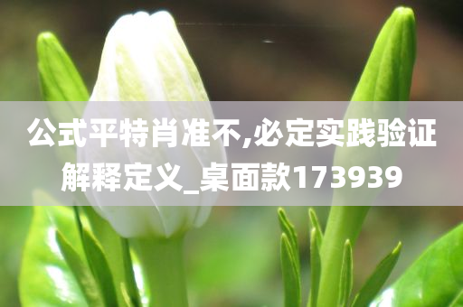 公式平特肖准不,必定实践验证解释定义_桌面款173939