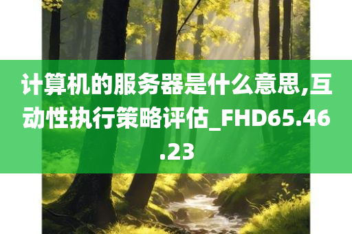 计算机的服务器是什么意思,互动性执行策略评估_FHD65.46.23