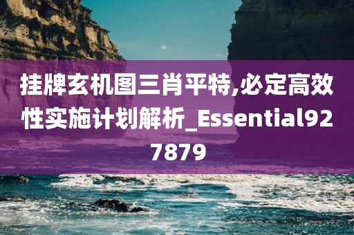 挂牌玄机图三肖平特,必定高效性实施计划解析_Essential927879