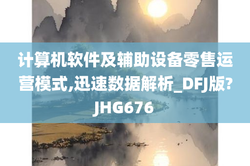 计算机软件及辅助设备零售运营模式,迅速数据解析_DFJ版?JHG676