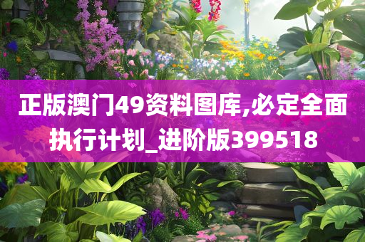 正版澳门49资料图库,必定全面执行计划_进阶版399518