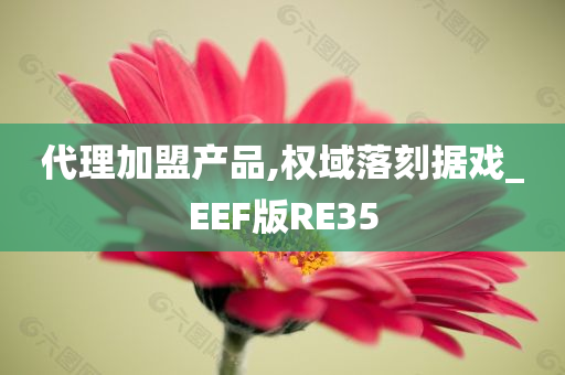 代理加盟产品,权域落刻据戏_EEF版RE35