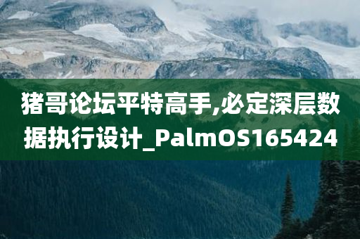 猪哥论坛平特高手,必定深层数据执行设计_PalmOS165424