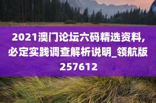 2021澳门论坛六码精选资料,必定实践调查解析说明_领航版257612