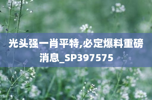 光头强一肖平特,必定爆料重磅消息_SP397575