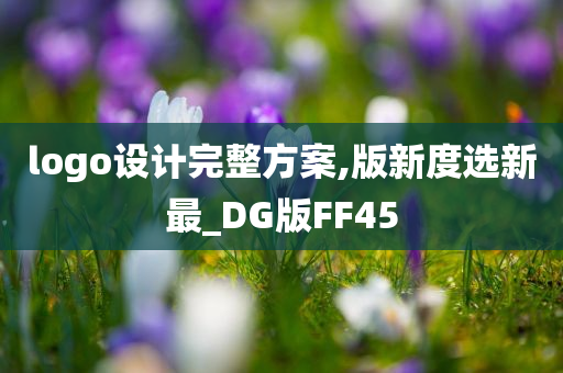 logo设计完整方案,版新度选新最_DG版FF45