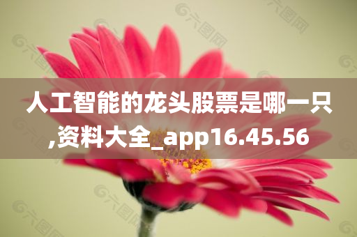 人工智能的龙头股票是哪一只,资料大全_app16.45.56