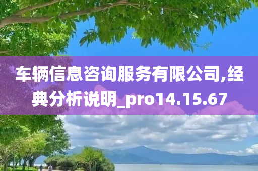 车辆信息咨询服务有限公司,经典分析说明_pro14.15.67