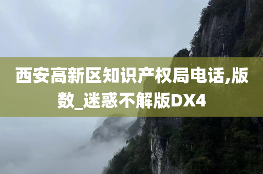 知识产权 第2页