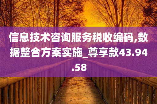 信息技术咨询服务税收编码,数据整合方案实施_尊享款43.94.58