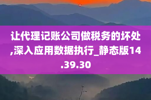 让代理记账公司做税务的坏处,深入应用数据执行_静态版14.39.30