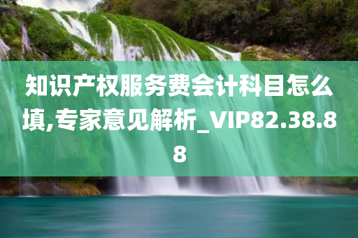 知识产权服务费会计科目怎么填,专家意见解析_VIP82.38.88