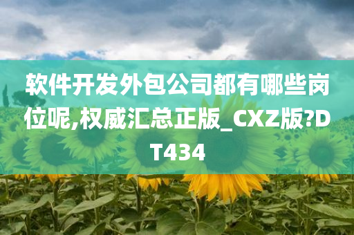 软件开发外包公司都有哪些岗位呢,权威汇总正版_CXZ版?DT434