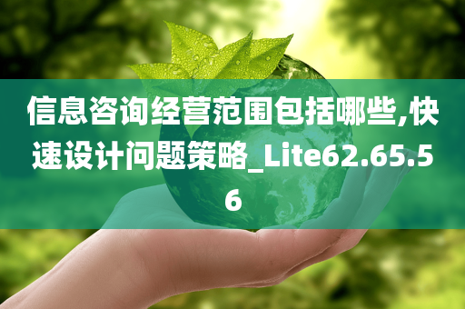 信息咨询经营范围包括哪些,快速设计问题策略_Lite62.65.56