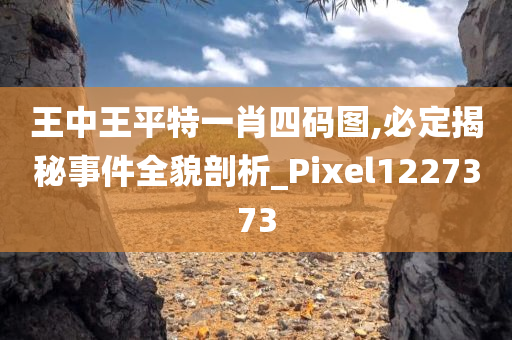 王中王平特一肖四码图,必定揭秘事件全貌剖析_Pixel1227373