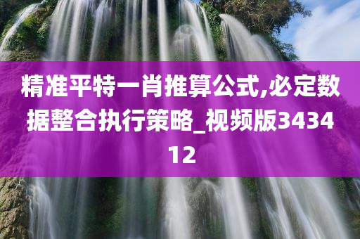 精准平特一肖推算公式,必定数据整合执行策略_视频版343412