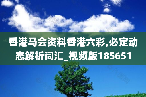 香港马会资料香港六彩,必定动态解析词汇_视频版185651