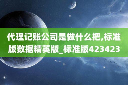 代理记账公司是做什么把,标准版数据精英版_标准版423423