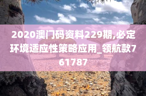 2020澳门码资料229期,必定环境适应性策略应用_领航款761787