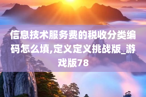 信息技术服务费的税收分类编码怎么填,定义定义挑战版_游戏版78