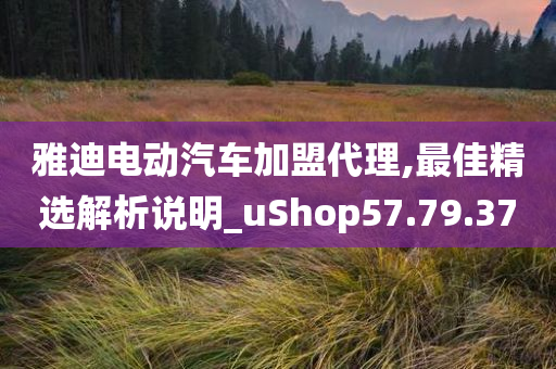 雅迪电动汽车加盟代理,最佳精选解析说明_uShop57.79.37