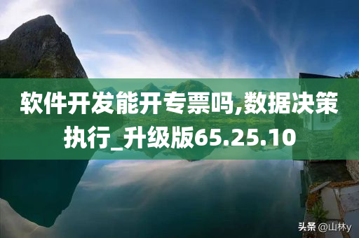 软件开发能开专票吗,数据决策执行_升级版65.25.10