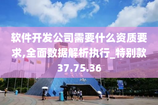 软件开发公司需要什么资质要求,全面数据解析执行_特别款37.75.36