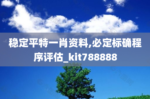 稳定平特一肖资料,必定标确程序评估_kit788888