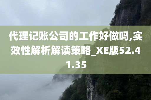 代理记账公司的工作好做吗,实效性解析解读策略_XE版52.41.35