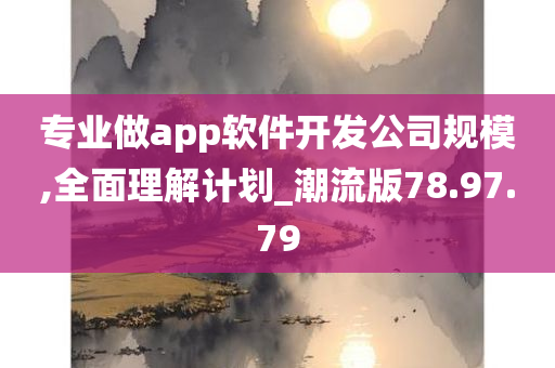 专业做app软件开发公司规模,全面理解计划_潮流版78.97.79