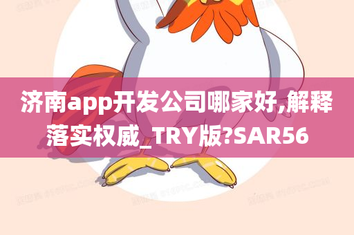 济南app开发公司哪家好,解释落实权威_TRY版?SAR56