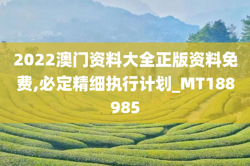 2022澳门资料大全正版资料免费,必定精细执行计划_MT188985