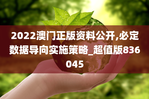 2022澳门正版资料公开,必定数据导向实施策略_超值版836045