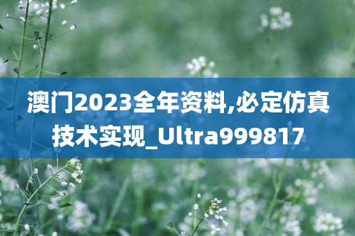 澳门2023全年资料,必定仿真技术实现_Ultra999817