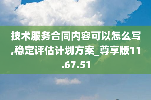 技术服务合同内容可以怎么写,稳定评估计划方案_尊享版11.67.51